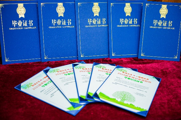 圖片 11